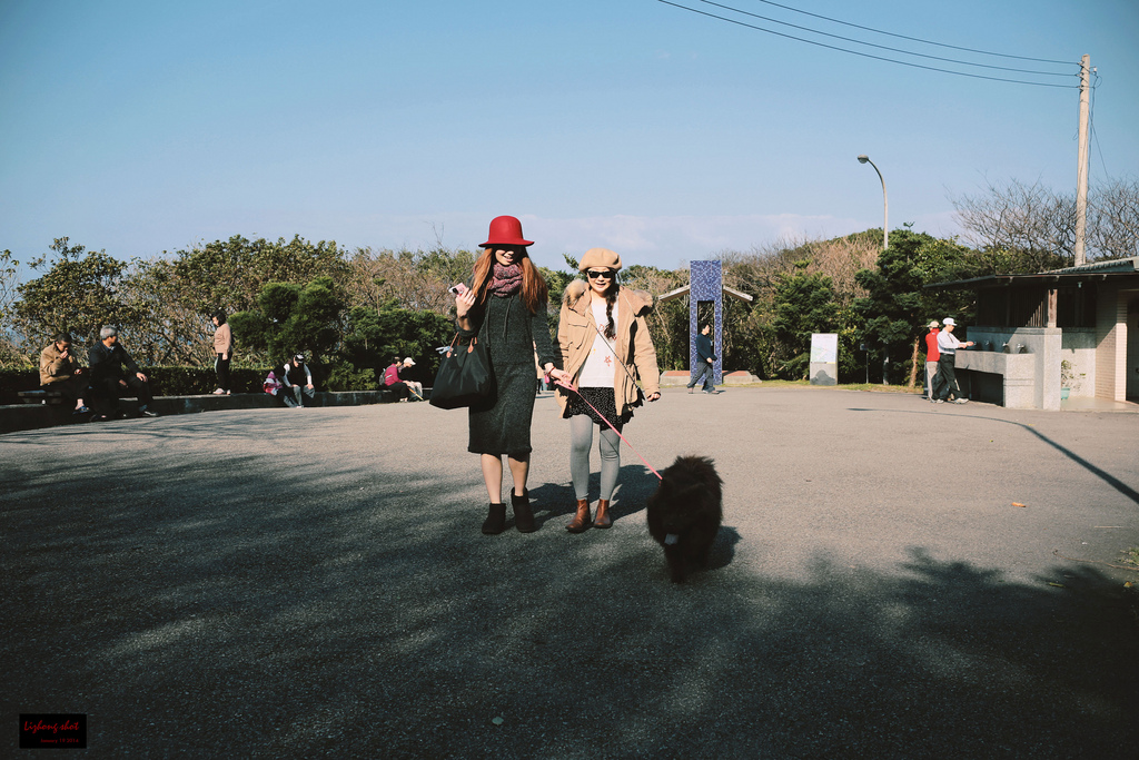 北海岸溜狗半日記趣