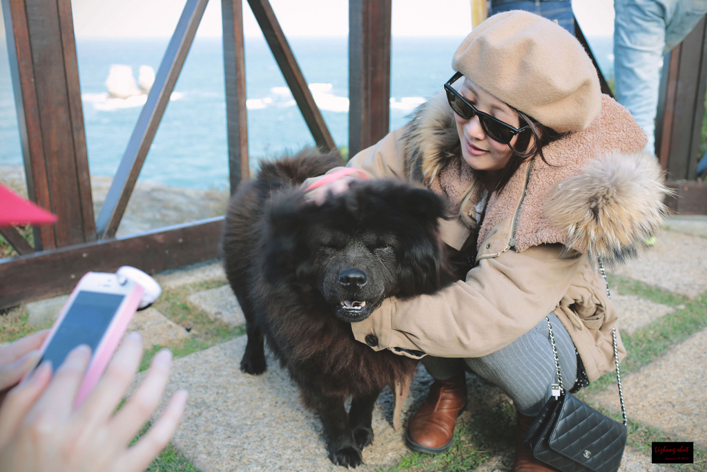 北海岸溜狗半日記趣