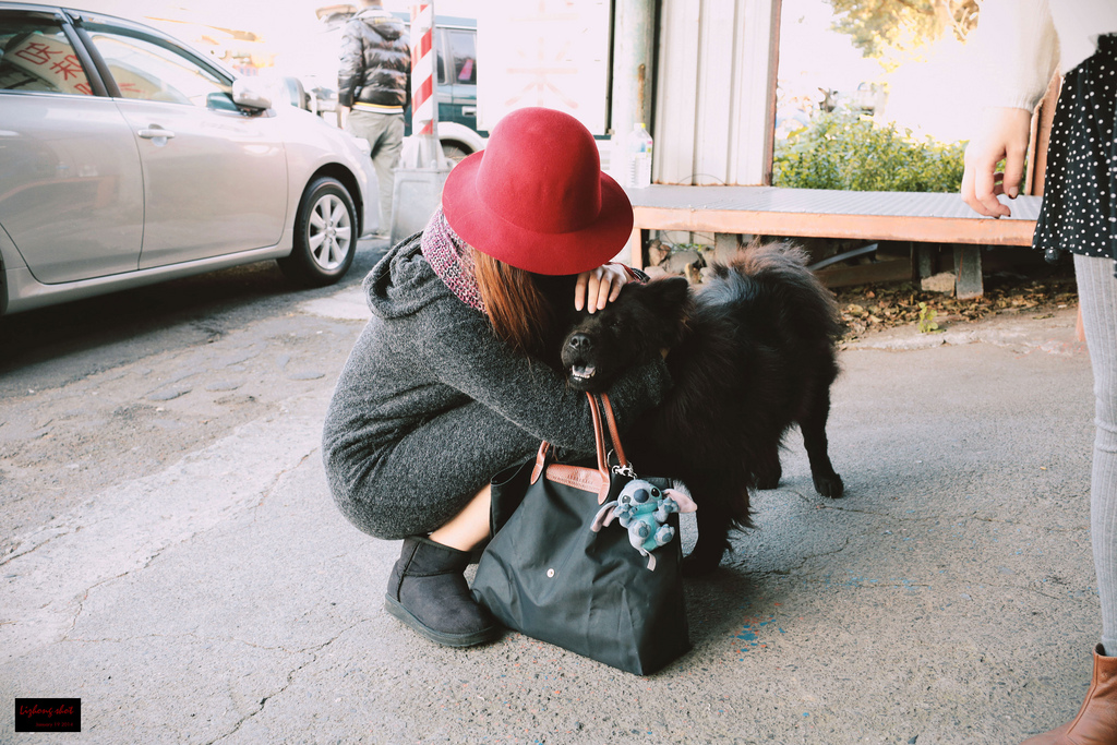 北海岸溜狗半日記趣