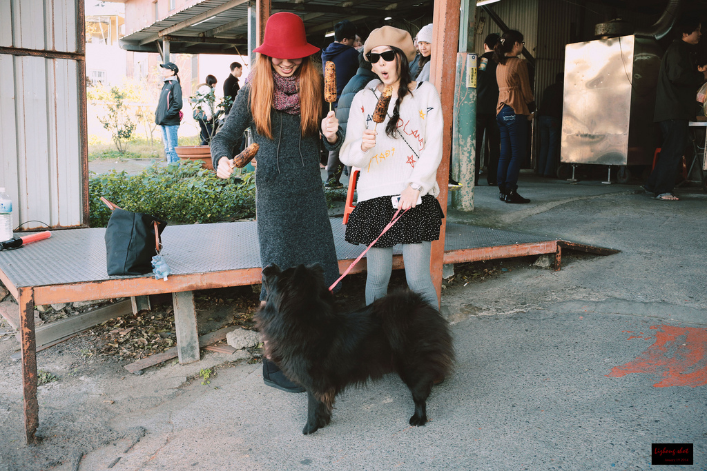 北海岸溜狗半日記趣