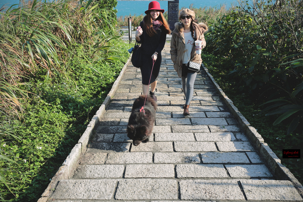 北海岸溜狗半日記趣