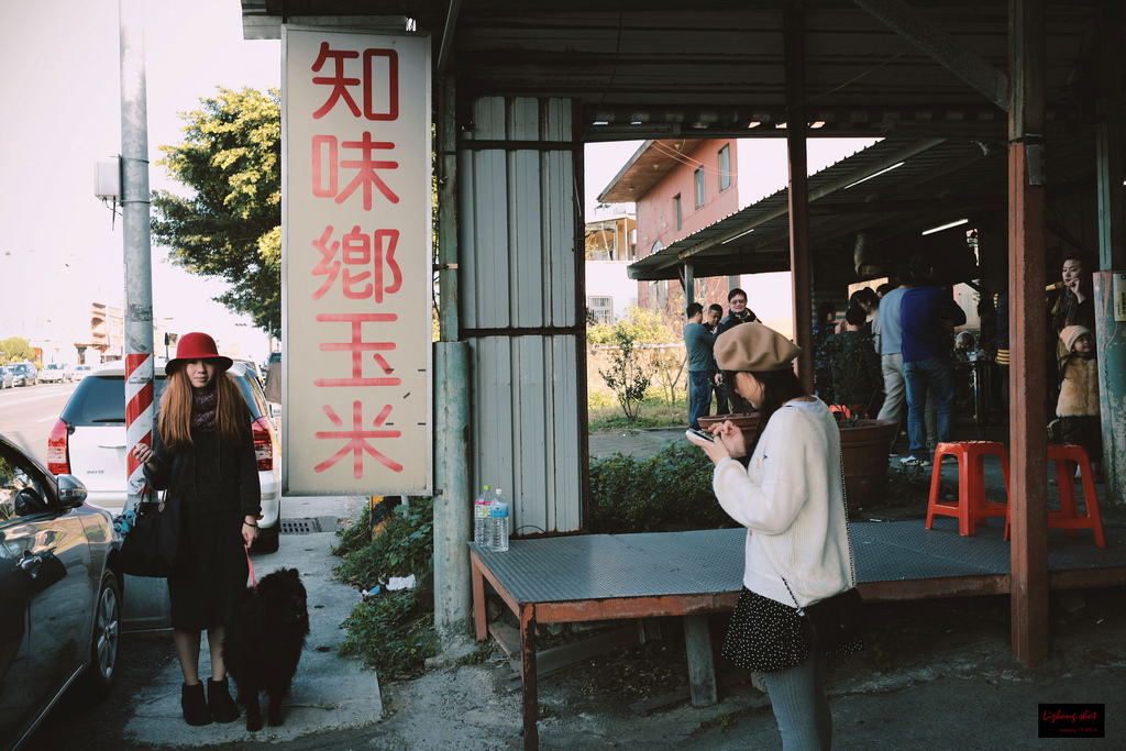 北海岸溜狗半日記趣