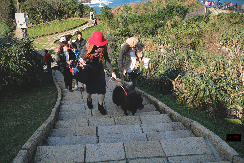 北海岸溜狗半日記趣