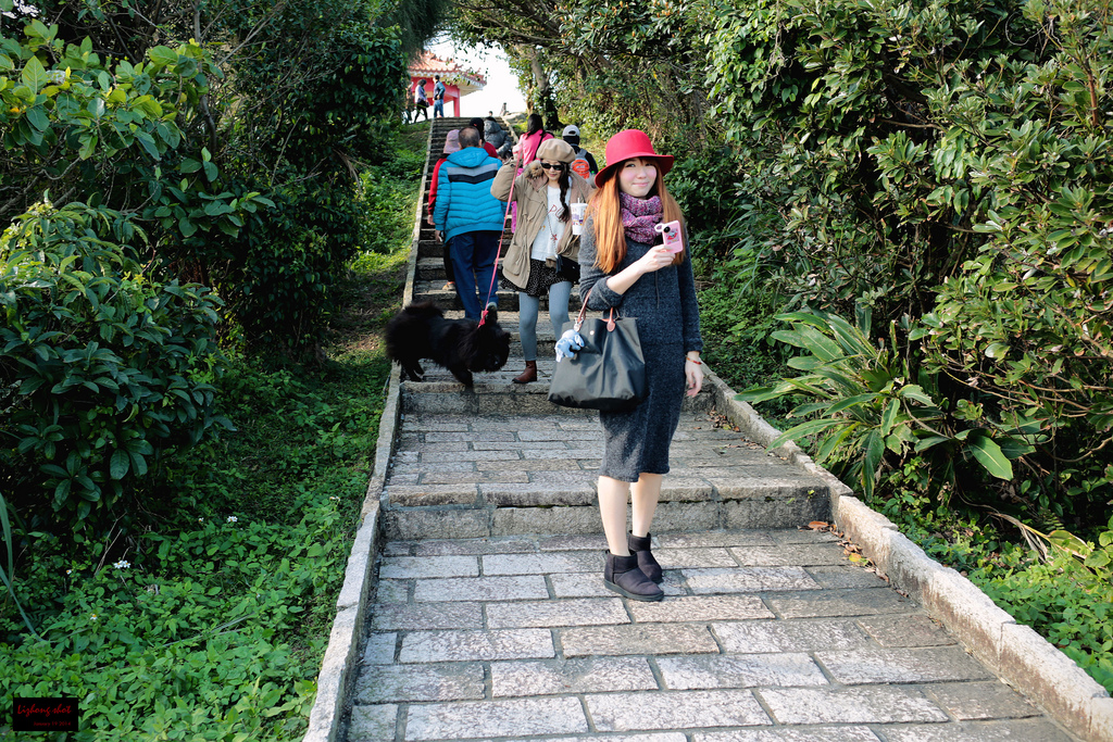 北海岸溜狗半日記趣
