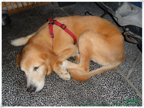 黑麥田鄉村烘焙餐廳:巷弄x清幽x美食 ‧ 「健康 ‧ 天然 ‧ 養生」登場~_《黑麥田鄉村烘焙餐廳》