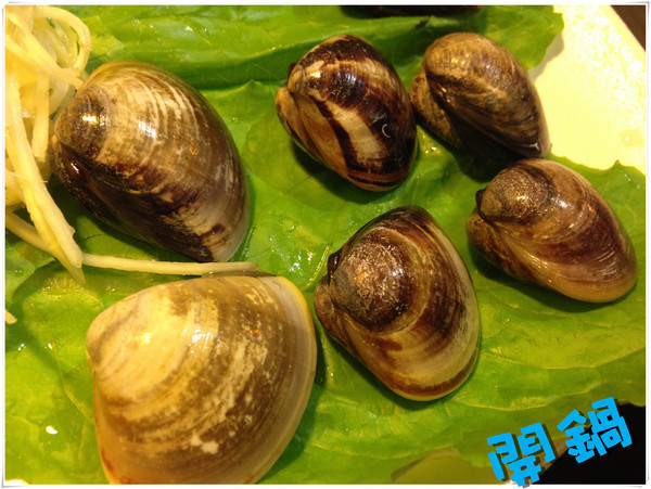 開鍋 精緻涮烤鍋：【♥美食】開鍋 精緻涮烤鍋~兩個願望一次滿足：）