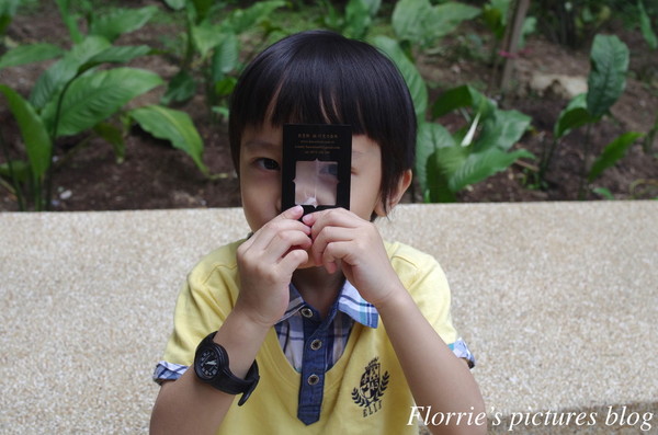 貝克街:BaCo Street貝克街.謎 巧克力蛋糕(綠玉皇冠)~香濃迷人的可可香氣,怕胖的我都不禁一口接一口!