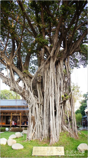 台中刑務所演武場：【台中/西區】偶像劇加持~刑務所演武場