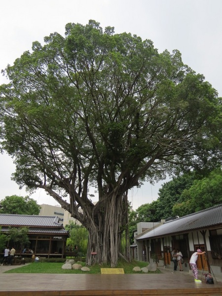 刑務所演武場:彷彿置身在日本味兒的【台中/刑務所演武場】