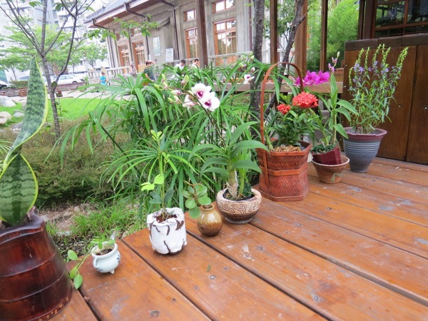 刑務所演武場:彷彿置身在日本味兒的【台中/刑務所演武場】