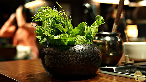 璞膳日式鍋物:【試吃】原味食膳《璞膳日式鍋物》