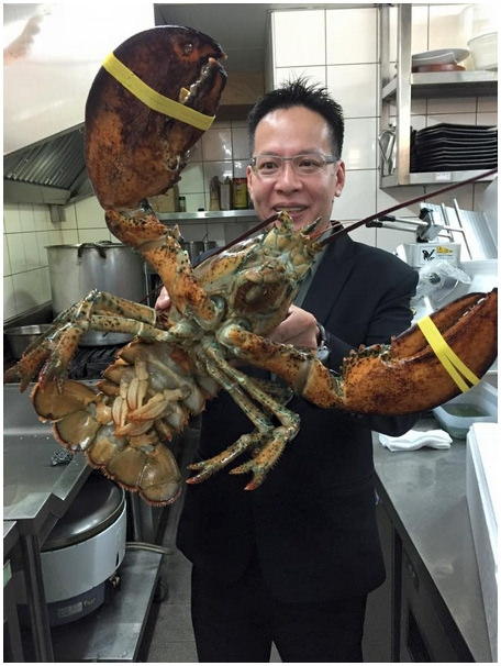 12219419_915613485181018_4373723150292376287_n