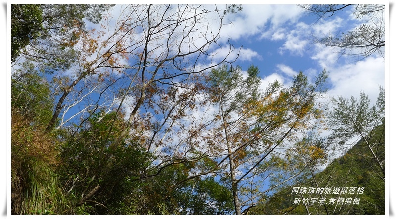 新竹秀巒追楓90.JPG