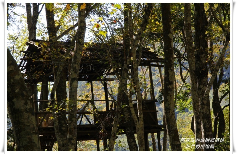 新竹秀巒追楓27.JPG
