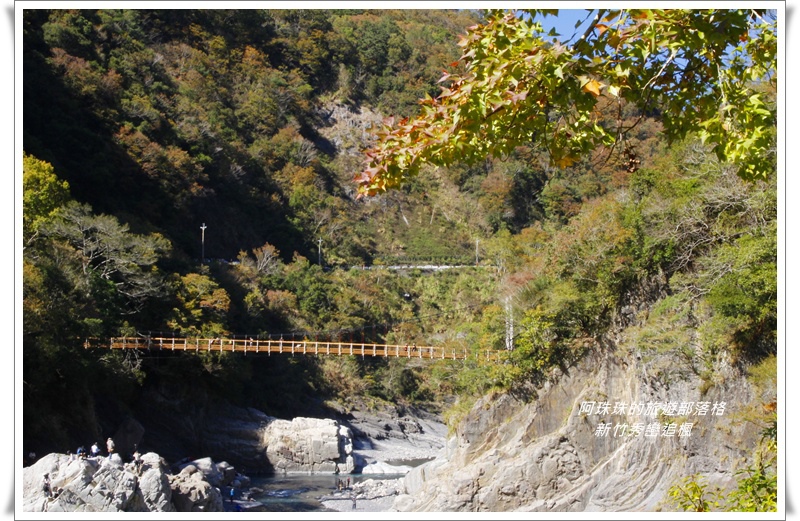 新竹秀巒追楓11.JPG