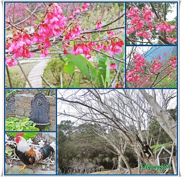 普拉多山丘假期景觀餐廳：✜ 美味餐點與優質服務、遠離城市喧塵滴歐式鄉村風世外桃源–桃園「普拉多山丘假期景觀餐廳」✿✿¸¸.•❤*¨*✿✿❤～✿¸¸.