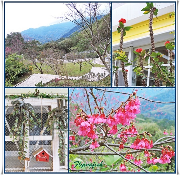 普拉多山丘假期景觀餐廳：✜ 美味餐點與優質服務、遠離城市喧塵滴歐式鄉村風世外桃源–桃園「普拉多山丘假期景觀餐廳」✿✿¸¸.•❤*¨*✿✿❤～✿¸¸.