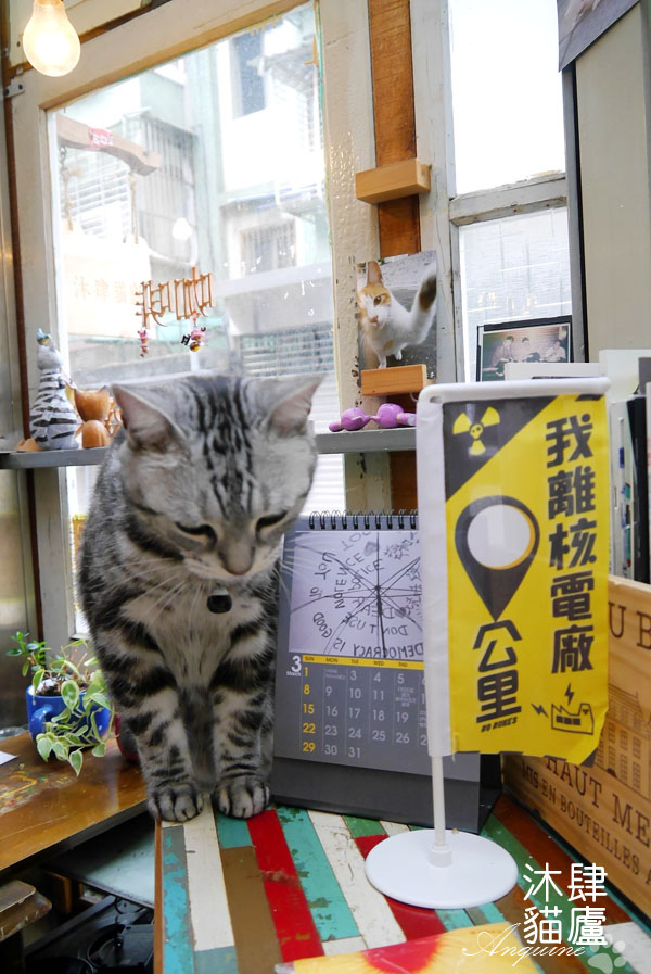 廖西瓜@台北市大安區沐肆貓廬30