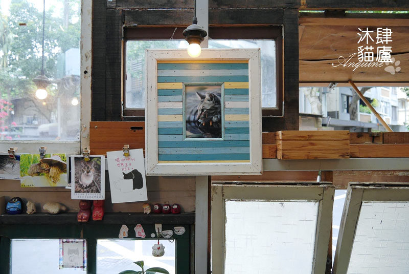 廖西瓜@台北市大安區沐肆貓廬28-1