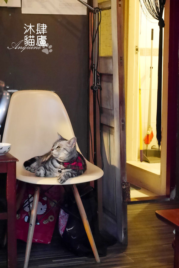 廖西瓜@台北市大安區沐肆貓廬40