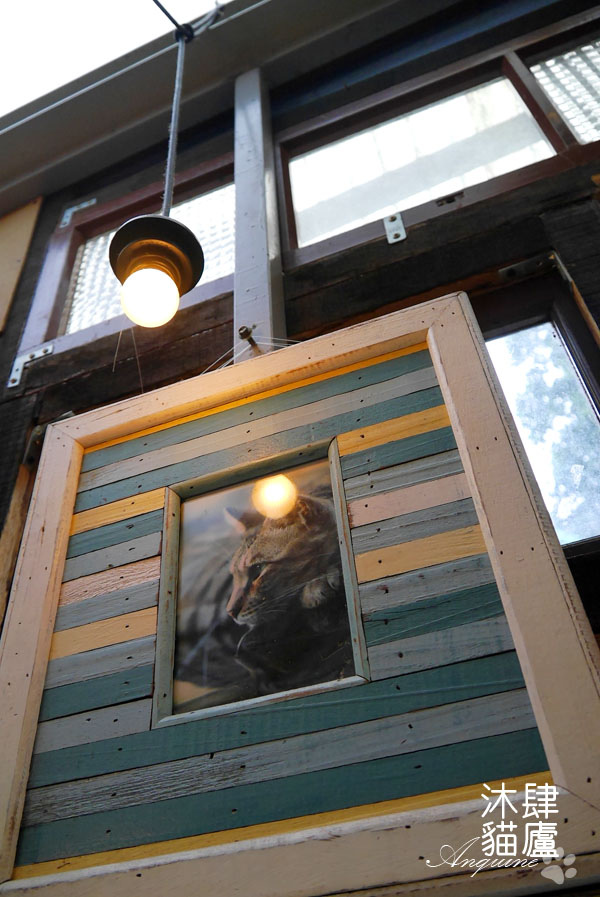 廖西瓜@台北市大安區沐肆貓廬37