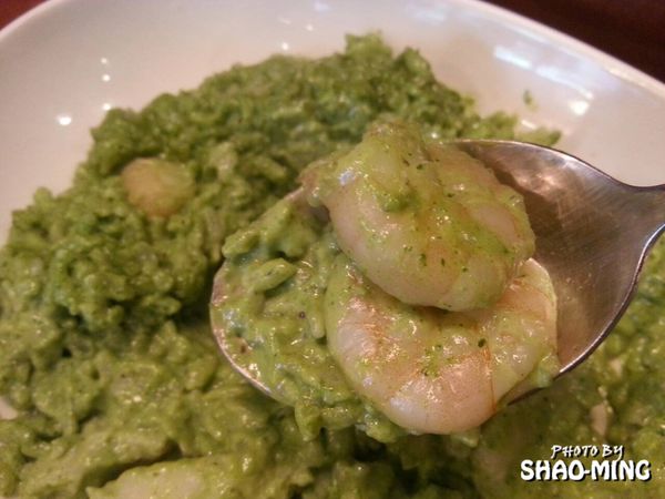 CAMPUS CAFE：(松山)精緻設計氛圍『CAMPUS-CAFÉ』樂活美味義式料理