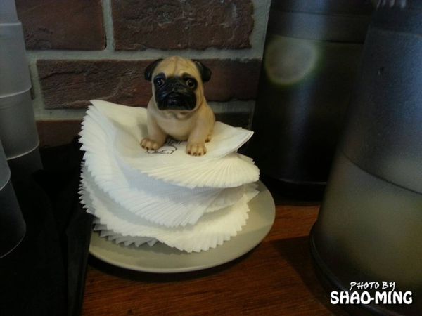 CAMPUS CAFE：(松山)精緻設計氛圍『CAMPUS-CAFÉ』樂活美味義式料理