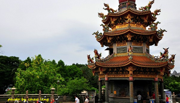 林口阿勃勒-11.JPG - 2016夏之豔陽(花季篇)