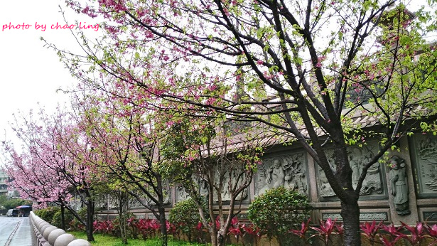 林口竹林山寺-11.jpg - 2016春暖花開
