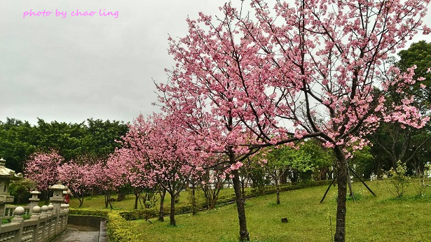 林口竹林山寺-1.jpg - 2016春暖花開