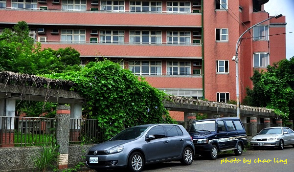 林口阿勃勒-10.JPG - 2016夏之豔陽(花季篇)