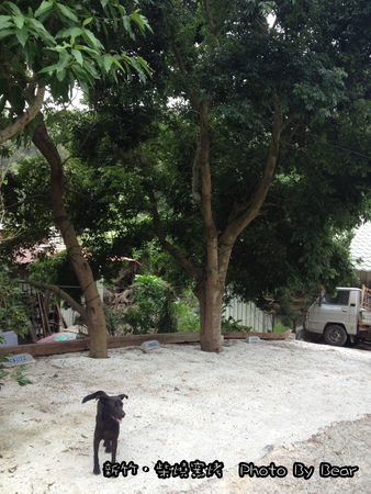 20131102柴燒窯烤-004