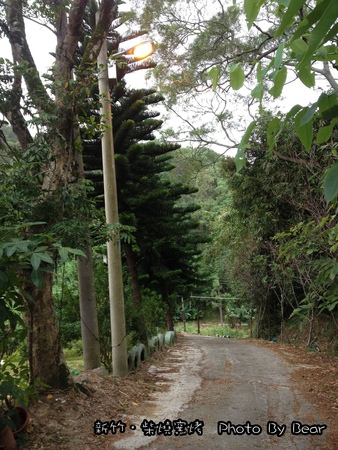 20131102柴燒窯烤-002