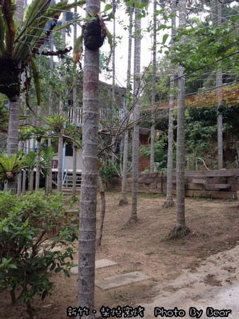 20131102柴燒窯烤-010