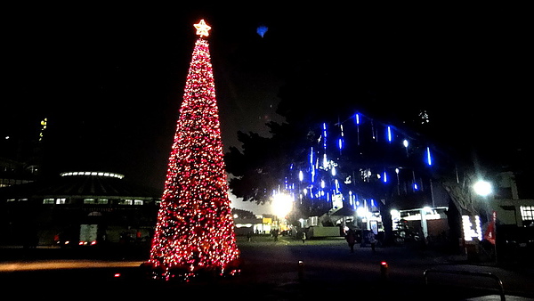 輔仁大學:【台北新莊】2013天主教輔仁大學聖誕燈海!一年一度的浪漫氛圍!