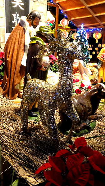 輔仁大學:【台北新莊】2013天主教輔仁大學聖誕燈海!一年一度的浪漫氛圍!