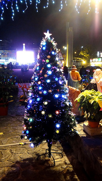 輔仁大學:【台北新莊】2013天主教輔仁大學聖誕燈海!一年一度的浪漫氛圍!