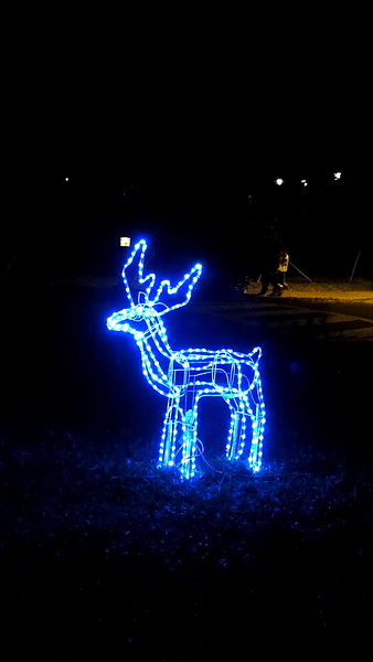 輔仁大學:【台北新莊】2013天主教輔仁大學聖誕燈海!一年一度的浪漫氛圍!