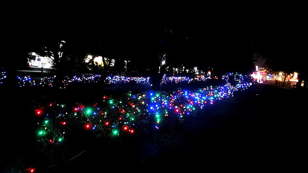 輔仁大學:【台北新莊】2013天主教輔仁大學聖誕燈海!一年一度的浪漫氛圍!