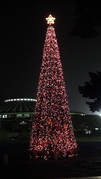 輔仁大學:【台北新莊】2013天主教輔仁大學聖誕燈海!一年一度的浪漫氛圍!