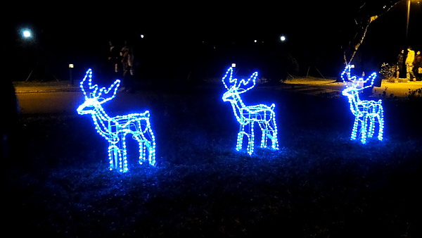 輔仁大學:【台北新莊】2013天主教輔仁大學聖誕燈海!一年一度的浪漫氛圍!