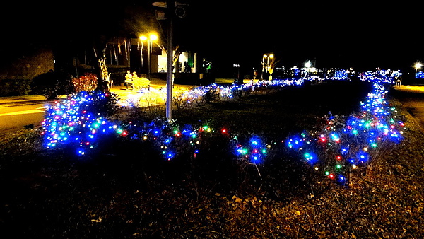 輔仁大學:【台北新莊】2013天主教輔仁大學聖誕燈海!一年一度的浪漫氛圍!