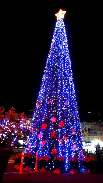 輔仁大學:【台北新莊】2013天主教輔仁大學聖誕燈海!一年一度的浪漫氛圍!