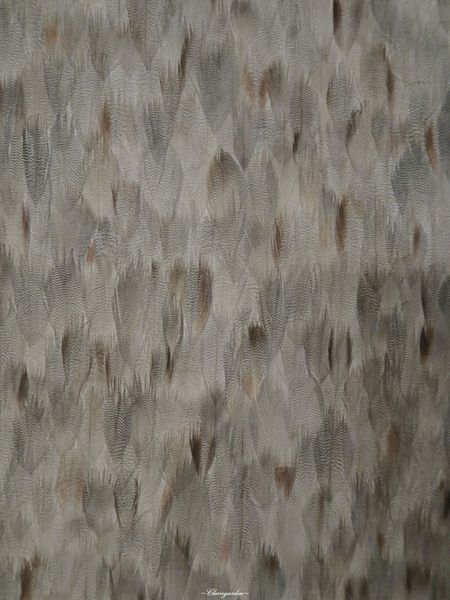 天下三絕：台北 捷運忠孝復興 天下三絕麵食館~高級餐廳裡享牛肉麵配紅酒