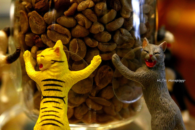 魚缸咖啡(蘆洲) (24)