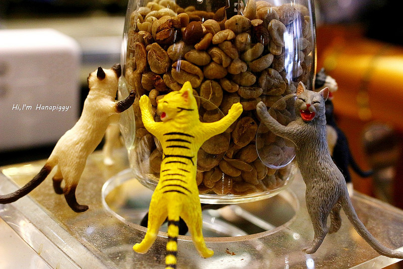 魚缸咖啡(蘆洲) (25)