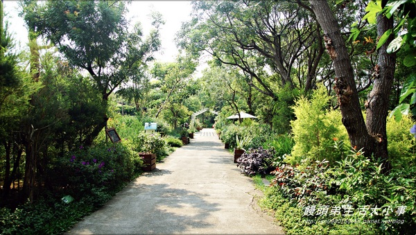 雅聞香草植物工廠：【苗栗／三義】獨特奇景～泰臉水池♪♪ 雅聞香草植物工廠♪♪