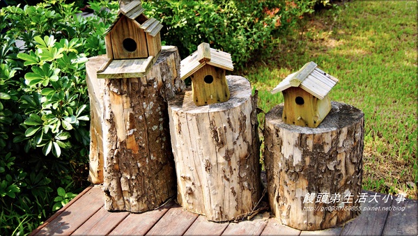 雅聞香草植物工廠：【苗栗／三義】獨特奇景～泰臉水池♪♪ 雅聞香草植物工廠♪♪