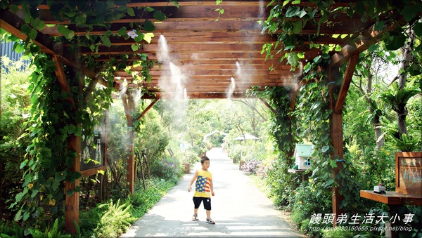 雅聞香草植物工廠：【苗栗／三義】獨特奇景～泰臉水池♪♪ 雅聞香草植物工廠♪♪