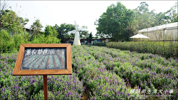 雅聞香草植物工廠：【苗栗／三義】獨特奇景～泰臉水池♪♪ 雅聞香草植物工廠♪♪